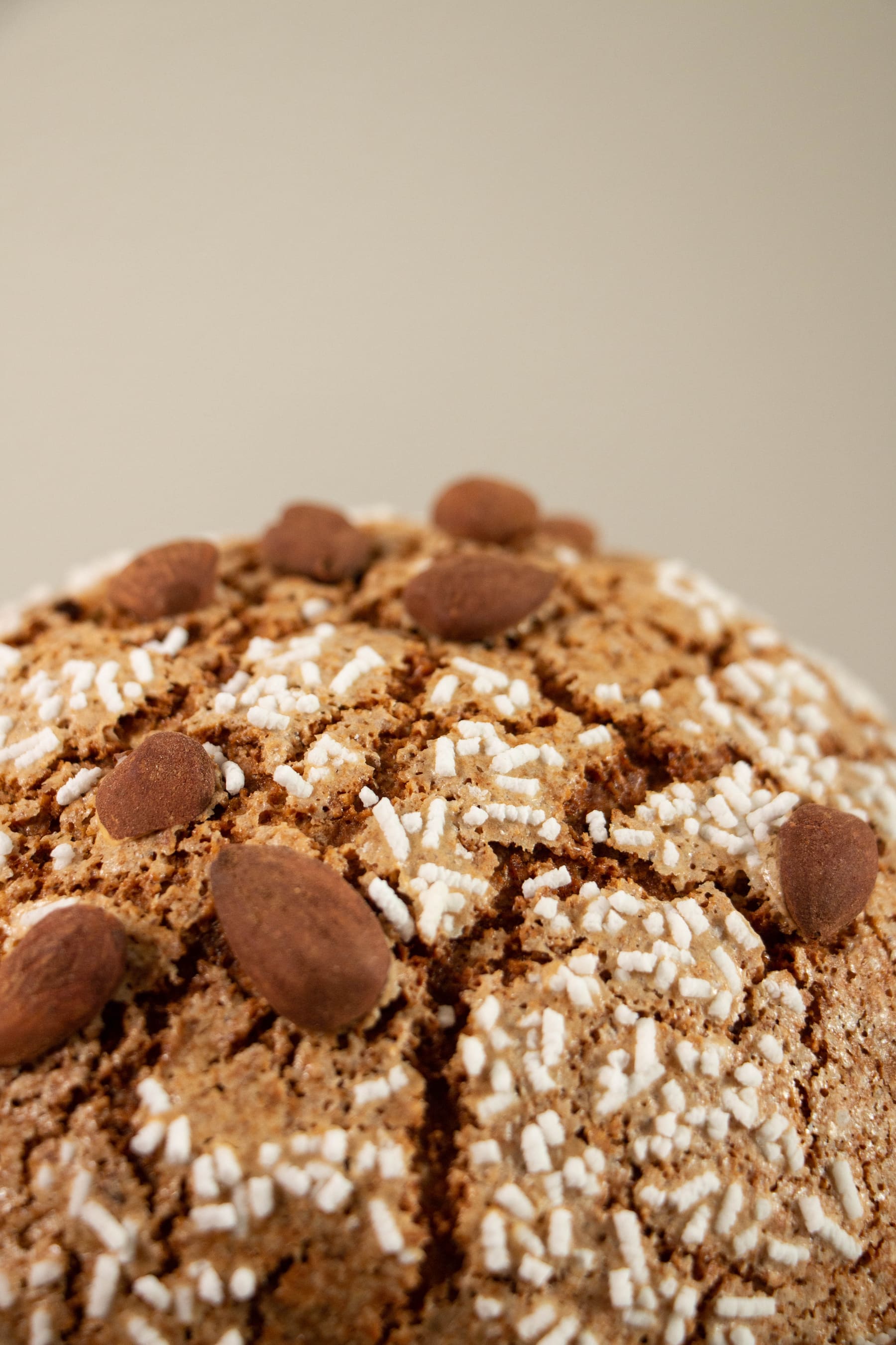 Panettone artigianale con glassa e mandorle, dettaglio superficie